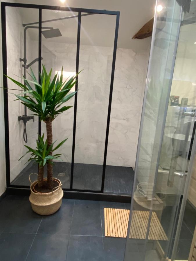Charmant Appartement Avec Spa Fontenay-le-Comte Ngoại thất bức ảnh